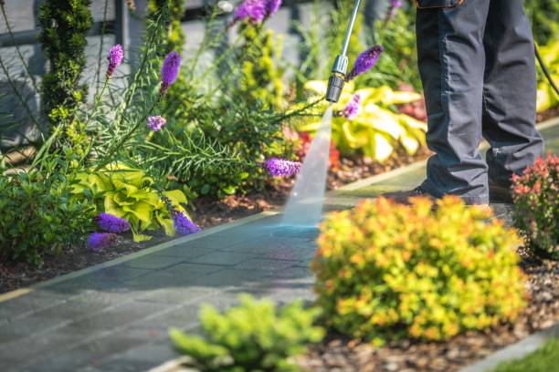 Best Pool Deck Cleaning in Massapequa Park, NY